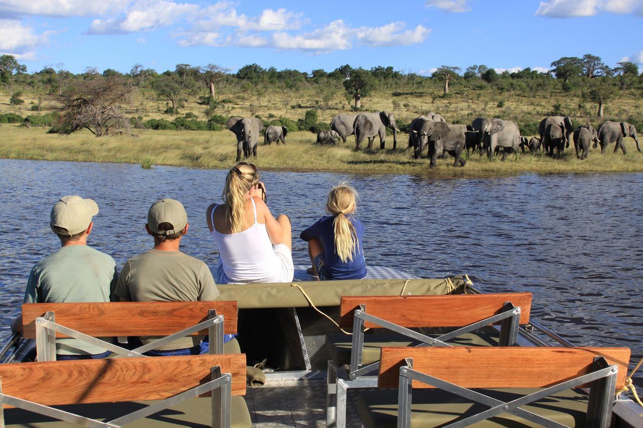 Chobe River Camp Ngoma Ngoại thất bức ảnh