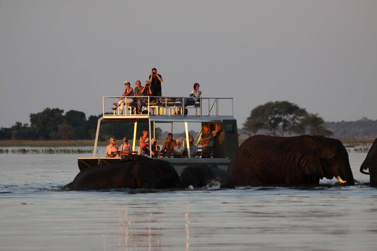 Chobe River Camp Ngoma Ngoại thất bức ảnh