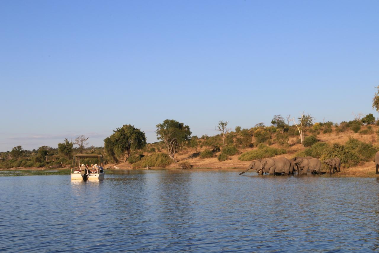 Chobe River Camp Ngoma Ngoại thất bức ảnh
