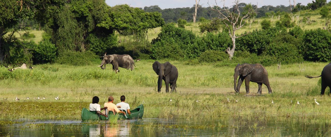 Chobe River Camp Ngoma Ngoại thất bức ảnh